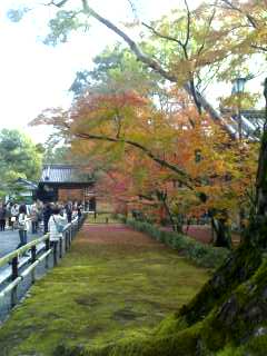 kyoto.jpg